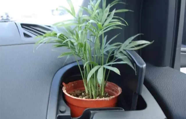 新車除醛，車內(nèi)除甲醛什么辦法***？