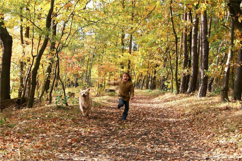 為什么秋季裝修異味這么重？甲醛超標(biāo)怎么辦