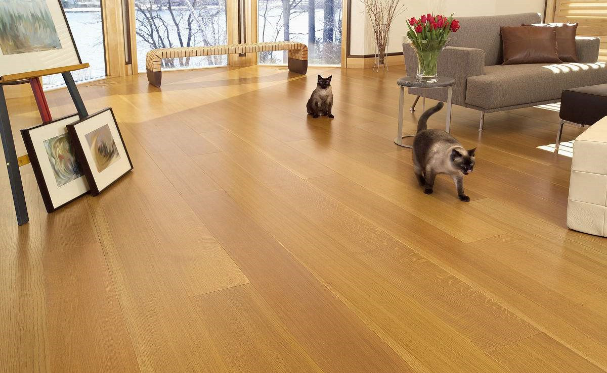 無法拆開、無法通風(fēng)！地板甲醛超標(biāo)怎么辦