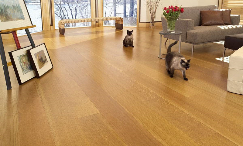 換新地板的房間全部甲醛超標嚴重，地板甲醛超標怎么辦？