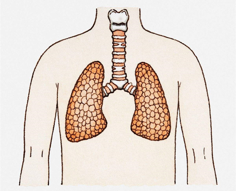 如何進行甲醛治理？沒有治理過的空氣就像虐待肺