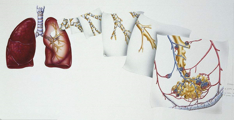 如何進行甲醛治理？沒有治理過的空氣就像虐待肺