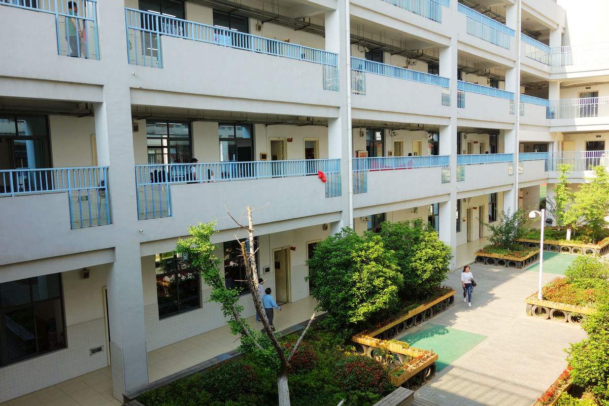 校舍裝修完買了400盆綠蘿凈化空氣，還有孩子開學***天就熏暈了！