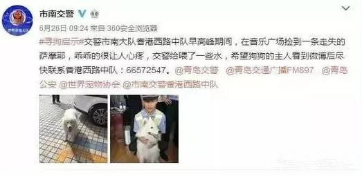 有問題找警察，薩摩耶派出所報案，不注意這件事，對狗狗致命，警察蜀黍卻幫不上忙！