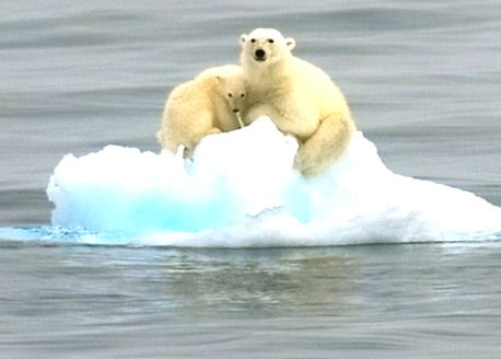 溫室效應(yīng)產(chǎn)生的主要原因是什么？我們又該如何解決