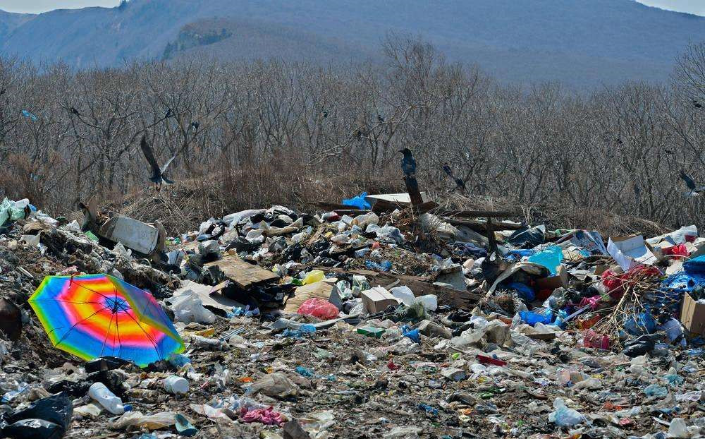 “視覺污染”和“潛在危害”是什么？