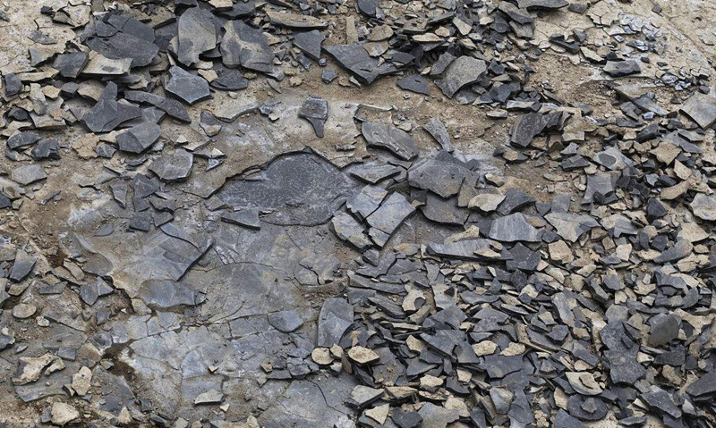 現(xiàn)代人生活節(jié)奏過快，卻導(dǎo)致環(huán)境空氣污染越來越嚴重