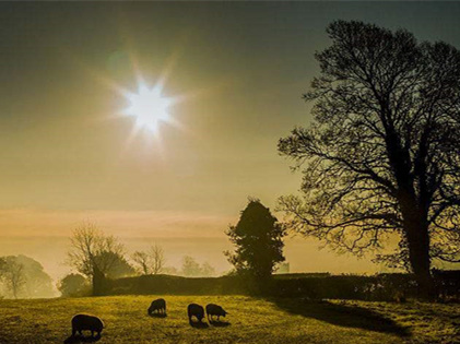 僅靠通風(fēng)換氣去除甲醛？這樣入住很危險(xiǎn)哦！