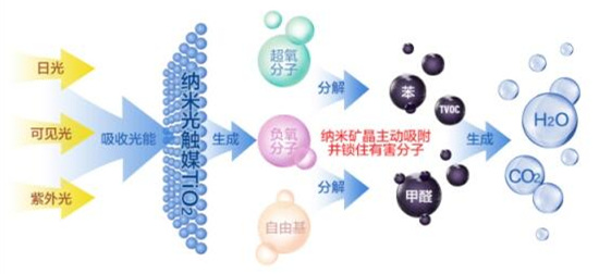 洋蔥可以除甲醛？民間流傳土方法可信嗎？