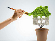 洋蔥可以除甲醛？民間流傳土方法可信嗎？