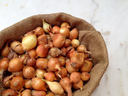 那些年，令我們哭笑不得的除甲醛經(jīng)歷……