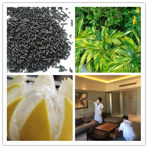 新房除甲醛，您一定不會(huì)失手！