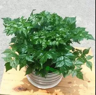 家中旺位和衰位在哪里？三分鐘學習室內風水學