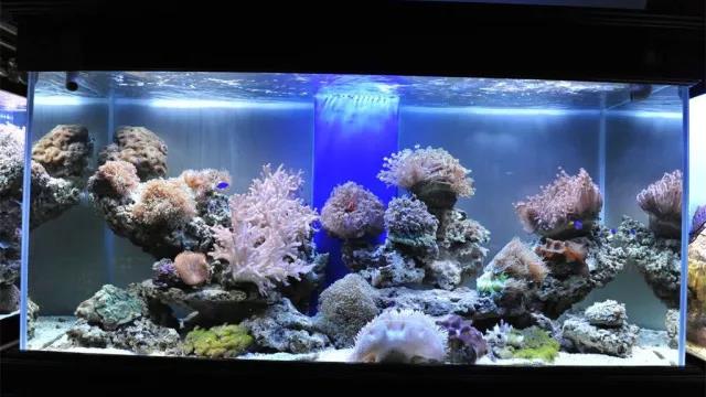 家中旺位和衰位在哪里？三分鐘學習室內風水學