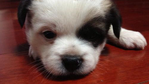 床墊薄膜要撕嗎？不僅要撕還要除甲醛！