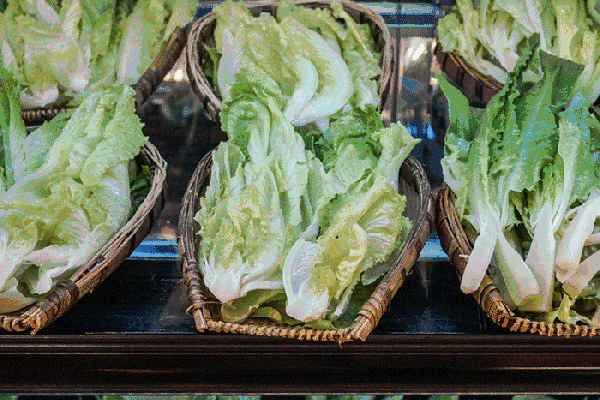 夏至高溫預警！消暑養(yǎng)生秘笈了解一下？