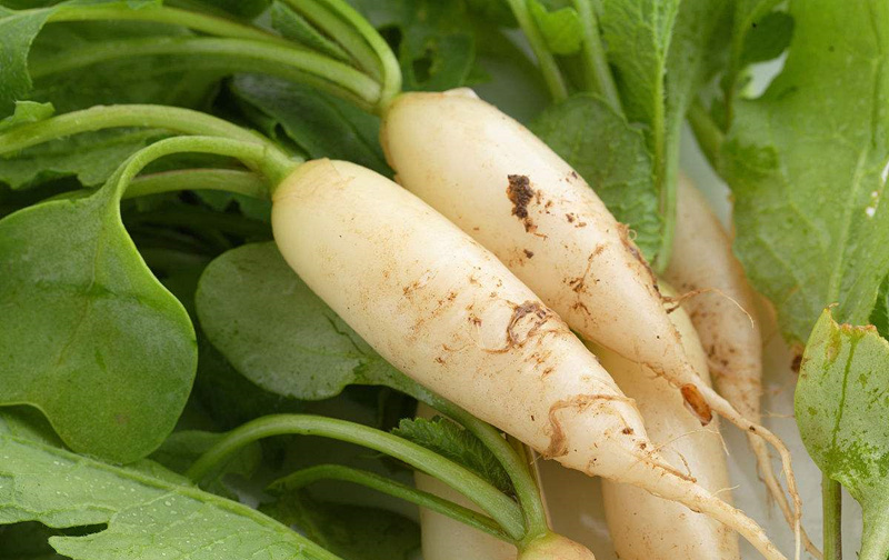 甲醛輕微超標能自愈嗎？