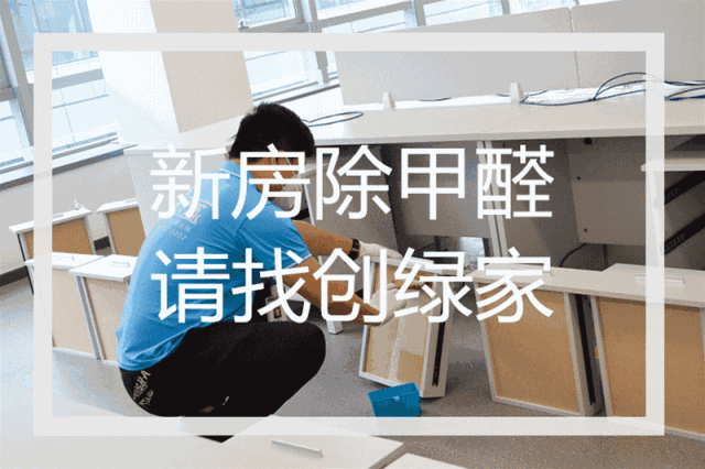 誰說***是多么寂寞，創(chuàng)綠家?guī)惺芟略?00強企業(yè)工作是怎樣的體驗！