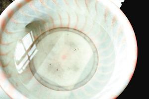 疫苗事件背后：您是否想過(guò)除甲醛產(chǎn)品也存在無(wú)效情況？