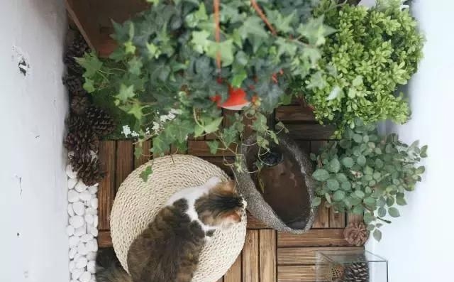 21天3000元重裝出租屋 除甲醛莫忘記！