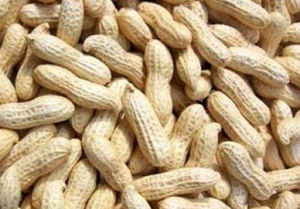 水煮花生含甲醛？實(shí)測(cè)多家燒烤店結(jié)果太可怕！