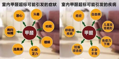 畢業(yè)季&租房季 清楚這幾點就能避開甲醛超標公寓