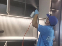 偏方真的能除甲醛嗎？