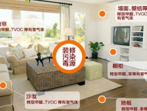 除甲醛加盟要多少錢？創(chuàng)綠家環(huán)保是哪里的？