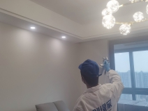 偏方真的能除甲醛嗎？