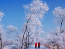 如何解決冬季室內(nèi)和車內(nèi)環(huán)境污染問題的問題呢？