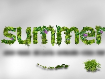 找除甲醛公司是一種辦法？是的，這還是您對待室內(nèi)空氣污染的正確心態(tài)！