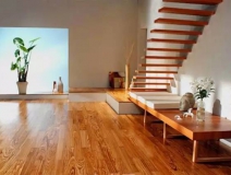 什么除甲醛最有效果？