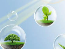 這些甲醛的危害你知道嗎？