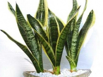 光觸媒是什么、原理及其作用