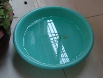 裝修完僅靠兩盆冷水就能除甲醛？這個說法連網(wǎng)友都出來辟謠！大家別再相信了！