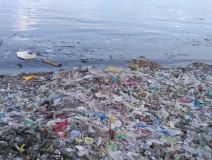 現(xiàn)代人生活節(jié)奏過快，卻導(dǎo)致環(huán)境空氣污染越來越嚴(yán)重