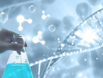 除甲醛需要注意什么？