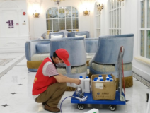 除甲醛公司選擇需從哪些方面考慮？