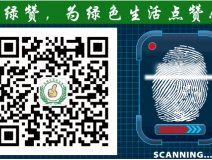 萬萬沒想到！床品上也會有甲醛污染