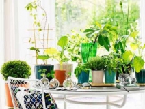 甲醛治理看的見，你的健康我來保護