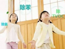 新房裝修甲醛來自哪里？