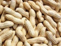 水煮花生含甲醛？實測多家燒烤店結(jié)果太可怕！