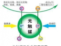您知道或者聽說過光觸媒嗎？