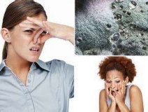 家里有異味怎么辦？科學(xué)除味、治理甲醛就對(duì)了！