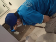 除甲醛需要做哪些功課？