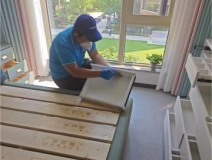 如何有效地除甲醛？