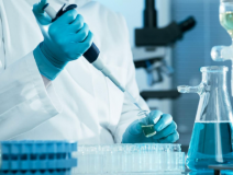 綠植真的能除甲醛嗎？