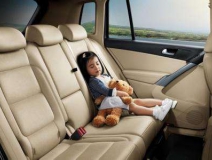 新車除味什么最有效？