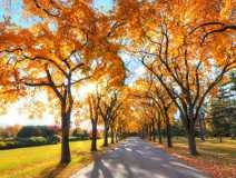 秋季新房裝修怎么樣進行甲醛治理呢？