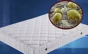 南京美女睡了10年的床墊，掀開后把全家人都嚇傻了……